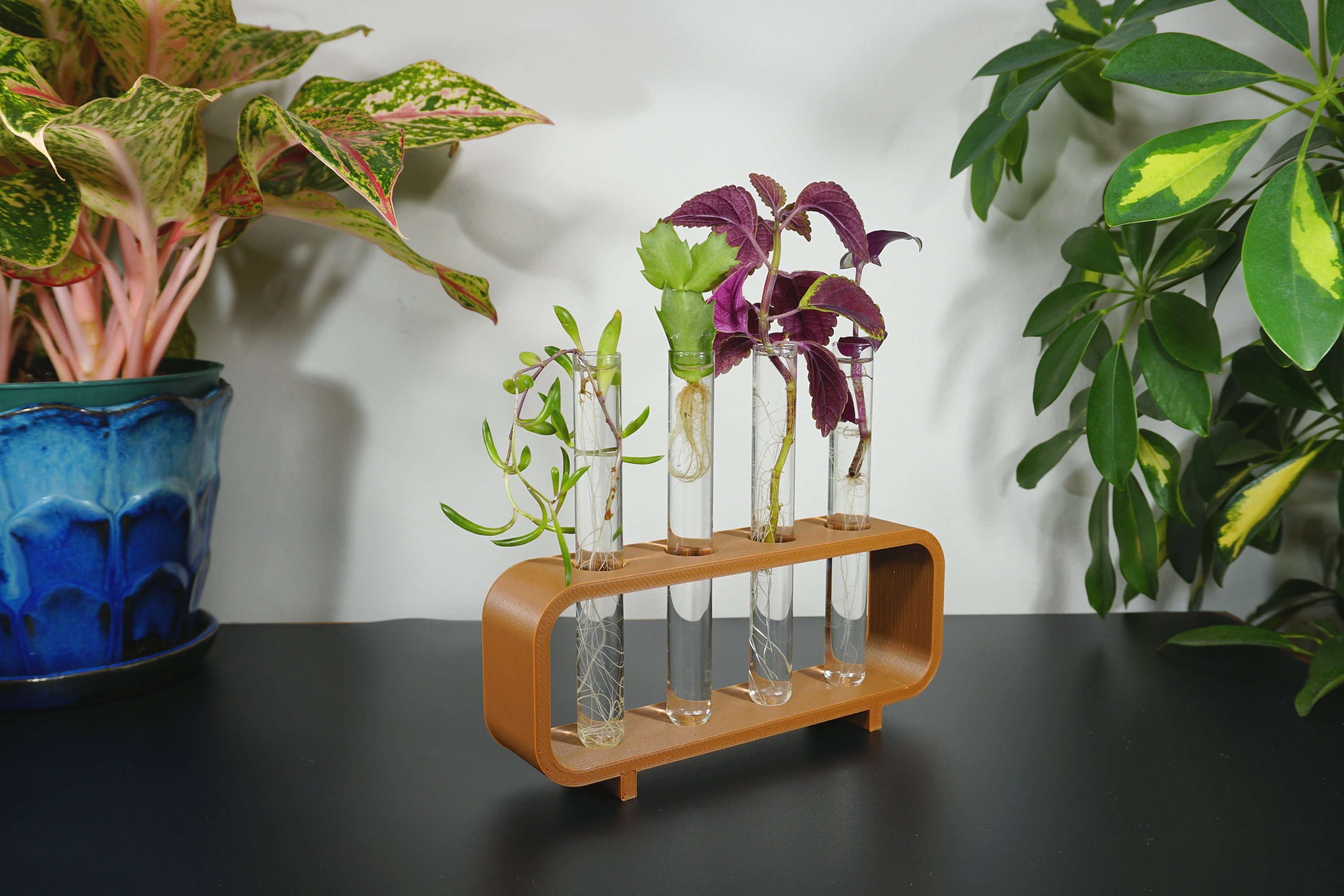 Test Tube Propagation Station Etsy Canada