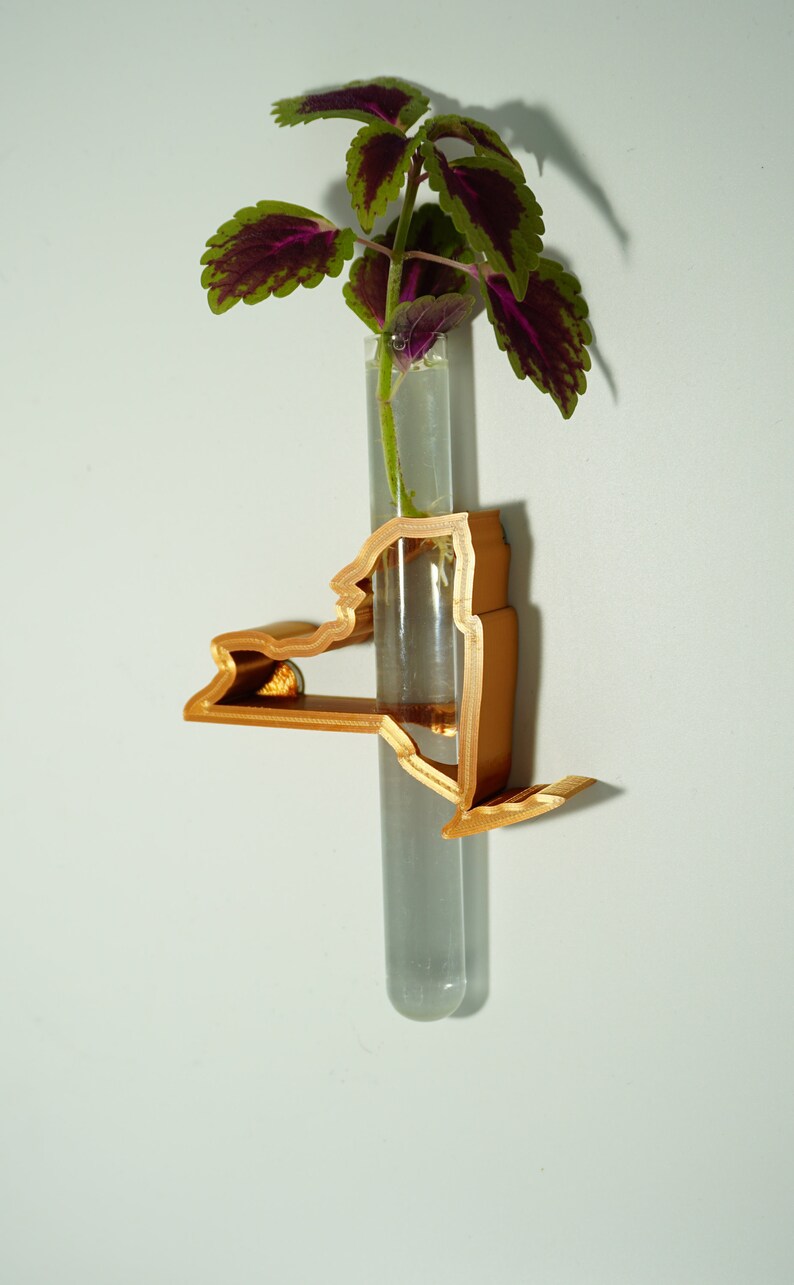 Puede incluir: Un macetero de pared de color dorado con forma del estado de Nueva York con un tubo de ensayo de vidrio que contiene una peque&ntilde;a planta con hojas verdes y moradas.