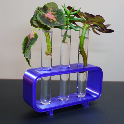 Test Tube Propagation Station Etsy
