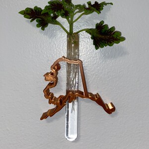 Puede incluir: Un contorno met&aacute;lico de cobre del estado de Alaska sostiene un tubo de ensayo de vidrio con una planta verde de hojas variegadas.