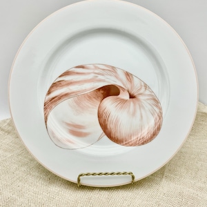 Vintage Fitz and Floyd Coquille Seashell Dinner Plates Set of 4