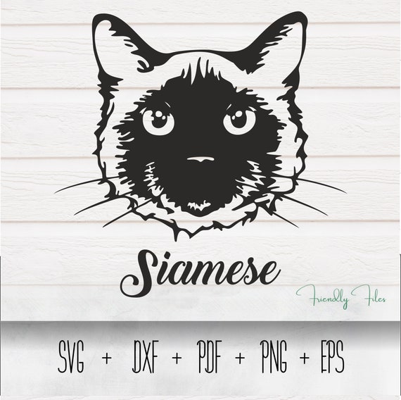 Download Siamese Cat Vector Cat Svg Cat Clip Art Cat Breed Cut Etsy