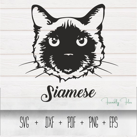 SIAMESE CAT VECTOR Cat svg Cat Clip Art Cat Breed Cut | Etsy