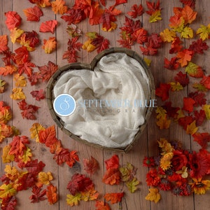 Newborn Digital Backdrop / Fall Leaves Digital Backdrop / Autumn Newborn Digital Backdrop / Newborn Prop