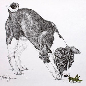 Basenji with Grasshopper - Limited Edition lithograph by Kathy Jones