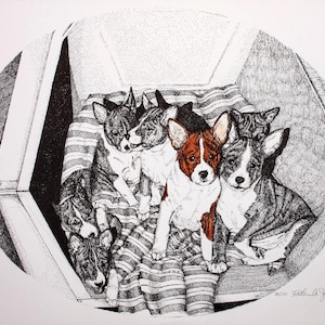 Basenji Puppies In Crate - Limited Edition lithograph by Kathy Jones