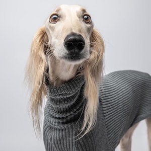 Warm Sweater for Italian Greyhound, Whippet and Greyhound | Jumpsuit for Sighthounds | 5 Colors |  The Galgo Brand