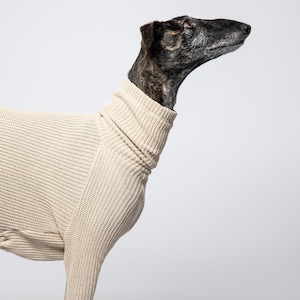 Warm Sweater for Italian Greyhound, Whippet and Greyhound | Jumpsuit for Sighthounds | The Galgo Brand