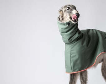 Greyhound Coat , Whippet Coat, Italian Greyhoudn Coat. Waterproof Coats for Sighthounds