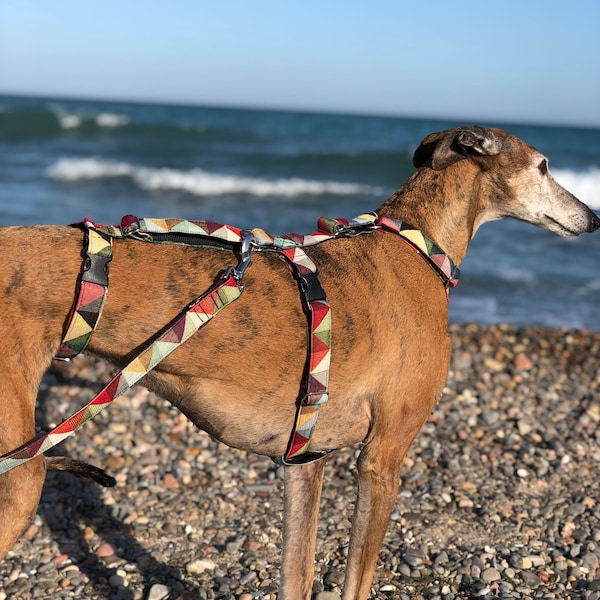 Greyhound Security Harness - 3 point harness | Whippet harness | Security Harness for Whippets