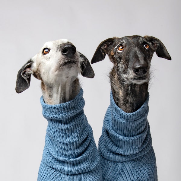 Warm Sweater for Italian Greyhound, Whippet and Greyhound ! Jumpsuit for Sighthounds | 2 COLORS | The Galgo Brand