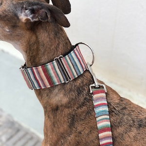Boho Dog collar  | Martingale Dog Collar | Greyhound Collar | Italian greyhound, Whippet, Greyhound collar