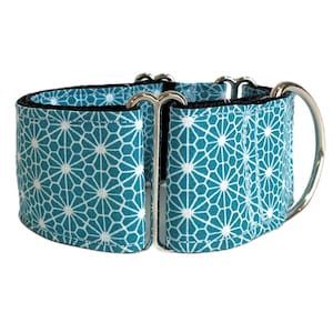 Dog Collar | Martingale Collar | Blue Flower Collar Greyhound, Whippet, Bozoi, Saluki, Sighthound Collar | The Galgo Brand