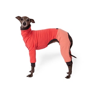 Jumpsuit for Italian Greyhound, Whippet and Greyhound | Greyhound Onesie , Whippet Onesie