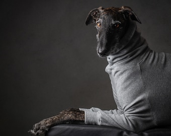Tuta super calda per levrieri italiani, whippet e levrieri / Felpa con cappuccio artigianale per levrieri