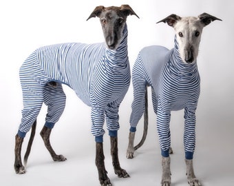 Onesie para Galgos Italianos, Whippets y Galgos / Galgo Italiano, Whippet, Mono de Galgo / The Galgo Brand