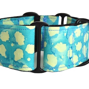 Martingale collar, Dog Collar, Greyhound collar, Whippet collar, Italian Greyhound collar. The Galgo Brand