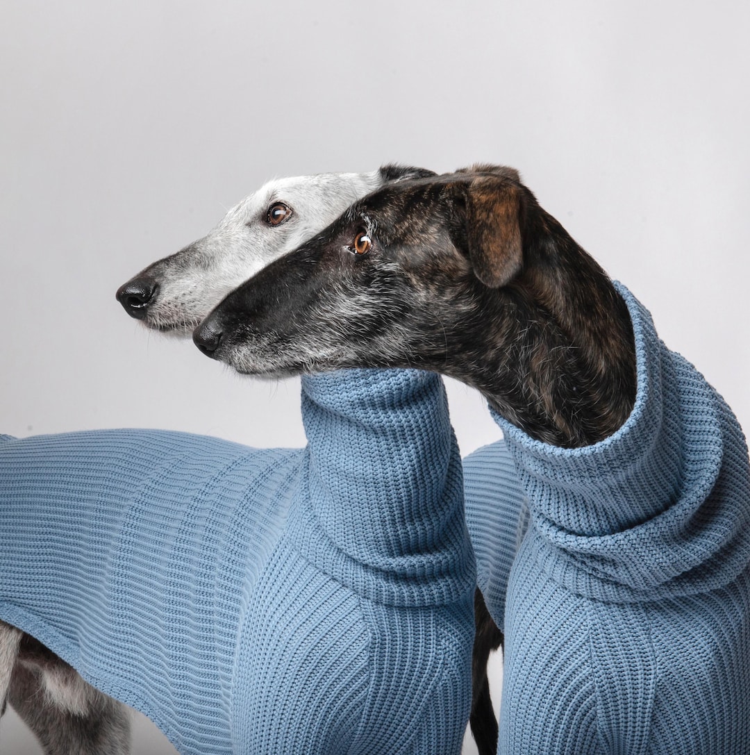 Whippet Wintermantel Iggy Warmer Mantel Italienisch Produktbild-Vorschau 7