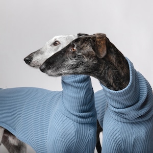Handcrafted Warm Sweater for Italian Greyhound, Whippet, and Greyhound | Premium Jumpsuit for Sighthounds