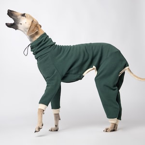 Handmade Jumpsuit for Italian Greyhound, Whippet and Greyhound | 8 Colors
