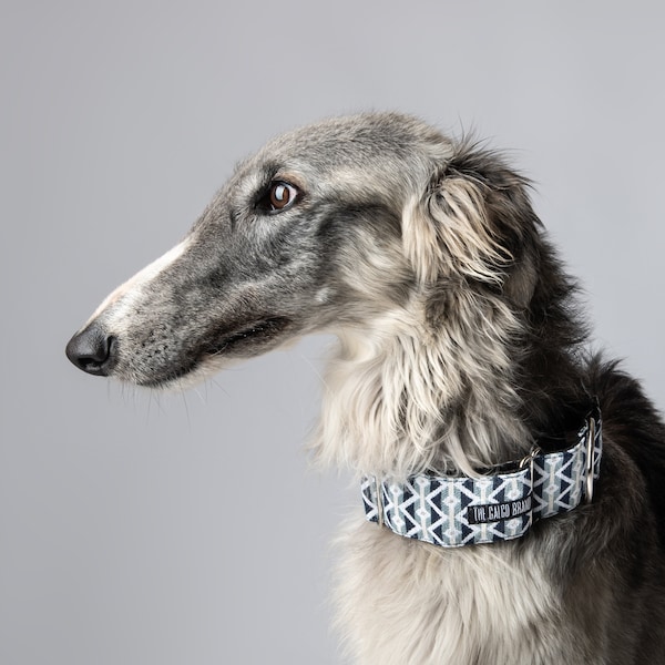 Boho Dog collar  | Martingale Dog Collar | Sighthound Collar | Italian greyhound, Whippet, Greyhound collar