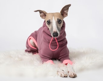 May include: A Whippet dog wearing a pink hooded sweatshirt with a pink drawstring. The dog is sitting on a white fluffy rug.