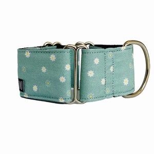 Martingale dog collar Greyhound Collar Martingale collar for Whippet, Italian Greyhound