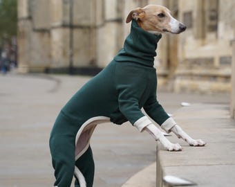 Puede incluir: Un perro beige y blanco con un mono verde oscuro con capucha y ribetes blancos. El perro está de pie en un escalón de hormigón con un edificio de piedra en el fondo.