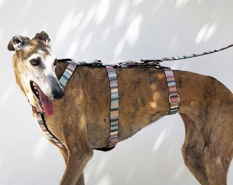 Greyhound-veiligheidsharnas - 3-punts harnas | Whippet-harnas | Whippet-beveiligingsharnas
