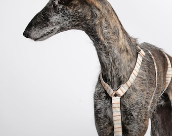 Greyhound-veiligheidsharnas - 3-punts harnas | Whippet-harnas | Veiligheidsharnas voor whippets