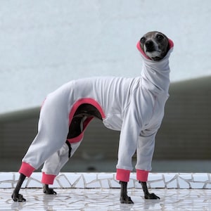 Onesie for Italian Greyhounds, Whippets and Greyhound | Italian Greyhound, Whippet, Greyhound Jumpsuit| The Galgo Brand