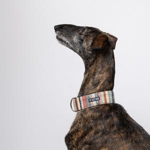 Martingale Dog Collar, Ethnic Martingale, Ethnic Dog Collar, Greyhound collar, Whippet collar