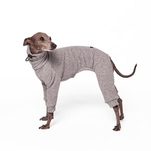Combinaison pour lévrier italien, Whippet , Lévrier | Sweat à capuche Whippet super chaud , Vêtements Greyhound | La marque Galgo