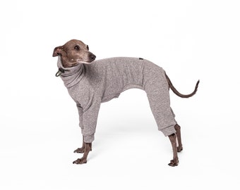 Jumpsuit for Italian Greyhound, Whippet , Greyhound  | Super Warm Whippet Hoodie , Greyhound Clothing | The Galgo Brand