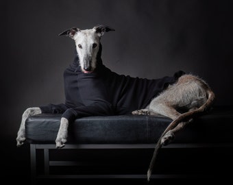 Tuta per levrieri italiani, whippet e levrieri / Maglione per levrieri / Felpa con cappuccio artigianale per levrieri