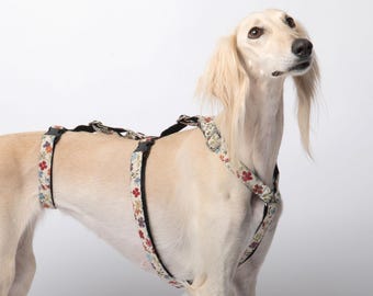 Greyhound-veiligheidsharnas - 3-punts harnas | Whippet-harnas | Veiligheidsharnas voor whippets