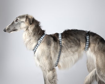 Greyhound-veiligheidsharnas - 3-punts harnas | Whippet-harnas | Whippet-beveiligingsharnas