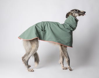 Può includere: Un cappotto per cani color verde salvia con bordino rosa. Il cappotto ha un cappuccio e una chiusura a scatto. Un levriero indossa il cappotto.
