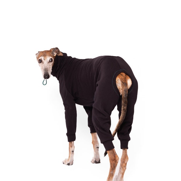 Italian Greyhound, Whippet , Greyhound Jumpsuit | Super Warm Whippet Hoodie , Greyhound Clothing | The Galgo Brand