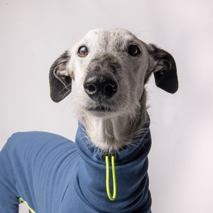 Warm and Soft Jumpsuit for Italian Greyhounds, Whippets and Greyhound | Greyhound Hoodie, Onesie |  The Galgo Brand