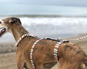Greyhound-veiligheidsharnas - 3-punts harnas | Whippet-harnas | Whippet-beveiligingsharnas