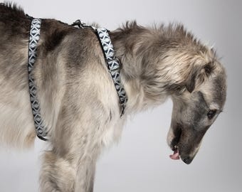 Greyhound-veiligheidsharnas - 3-punts harnas | Whippet-harnas | Veiligheidsharnas voor whippets