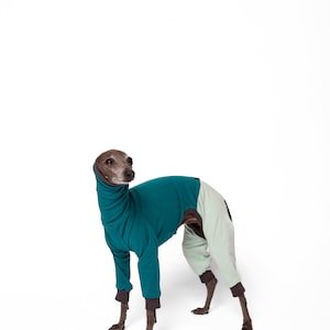 Italian Greyhound Jumpsuit | Whippet Onesie | Greyhound Jumpsuit | 2 COLORS | The Galgo Brand