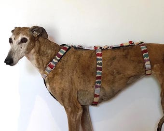 Greyhound-veiligheidsharnas - 3-punts harnas | Whippet-harnas | Veiligheidsharnas voor whippets