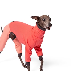 Italian Greyhound Jumpsuit | Whippet Onesie | Greyhound Jumpsuit | 2 COLORS | The Galgo Brand
