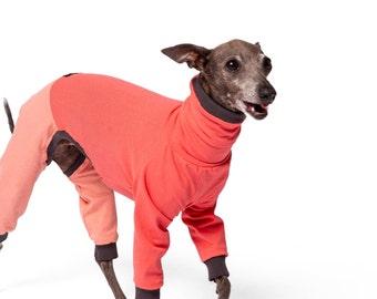 Italian Greyhound Jumpsuit | Whippet Onesie | Greyhound Jumpsuit | 2 COLORS | The Galgo Brand