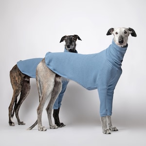 Cozy Sweater for Italian Greyhounds, Whippets & Greyhounds | Handcrafted Cotton Wool Pullover for Sighthounds