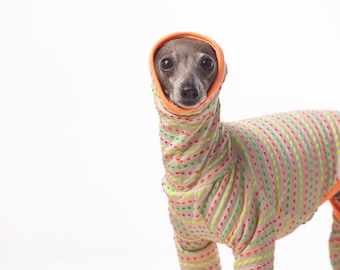 Handcrafted Striped Sighthound Onesie: Cozy Comfort for Italian Greyhounds, Whippets, and Greyhounds