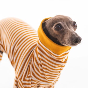 Stripped Pijama for Italian Greyhound | Whippet |  Greyhound Clothing (Jumpsuit / Pijamas / Body Suit / Onesie / Clothes)