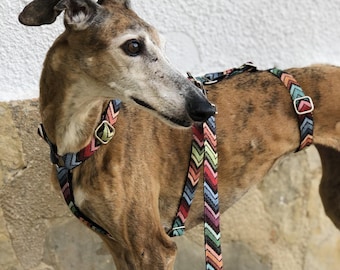 Greyhound-veiligheidsharnas - 3-punts harnas | Whippet-harnas | Veiligheidsharnas voor whippets